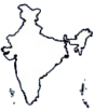 india map icon